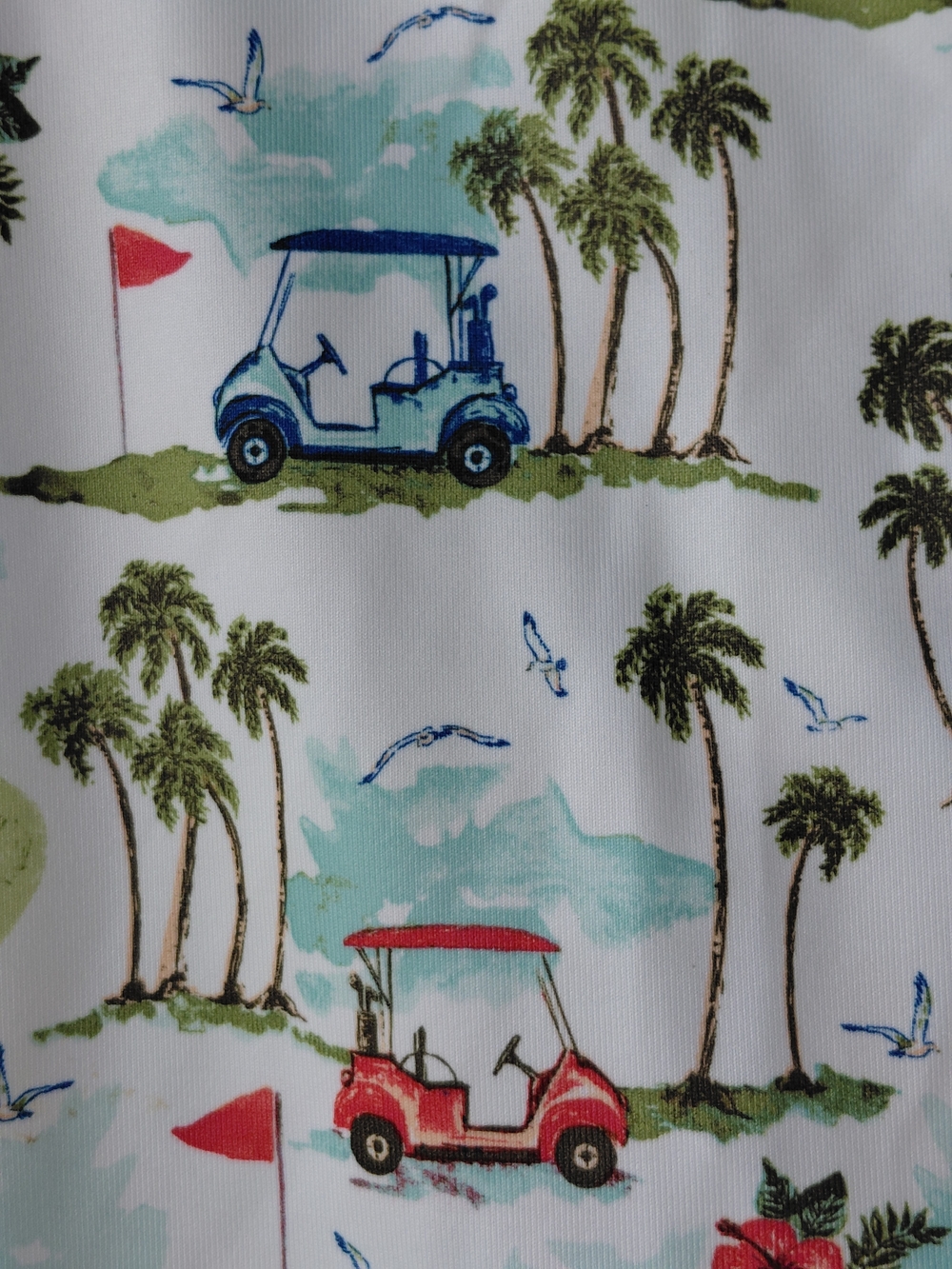 Coral Bay Golf 2 Piece Set PM Sleeveless Top & Skort Tropical Golf Cart Print UP - Picture 5 of 8